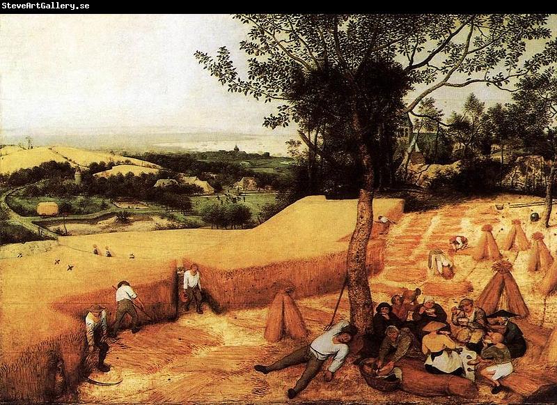 Pieter Bruegel the Elder The Corn Harvest